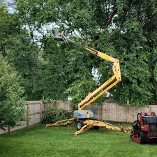 Best Tree Trimming and Pruning  in Mcfarland, CA