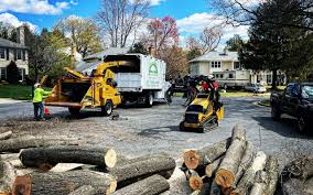 Lawn Pest Prevention in Mcfarland, CA