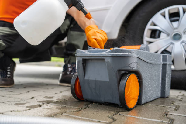 Best Root Management and Removal  in Mcfarland, CA